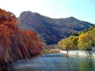 管家婆黑白马报图库，黑帽seo教学